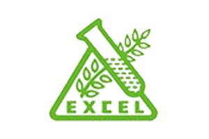 excel logo
